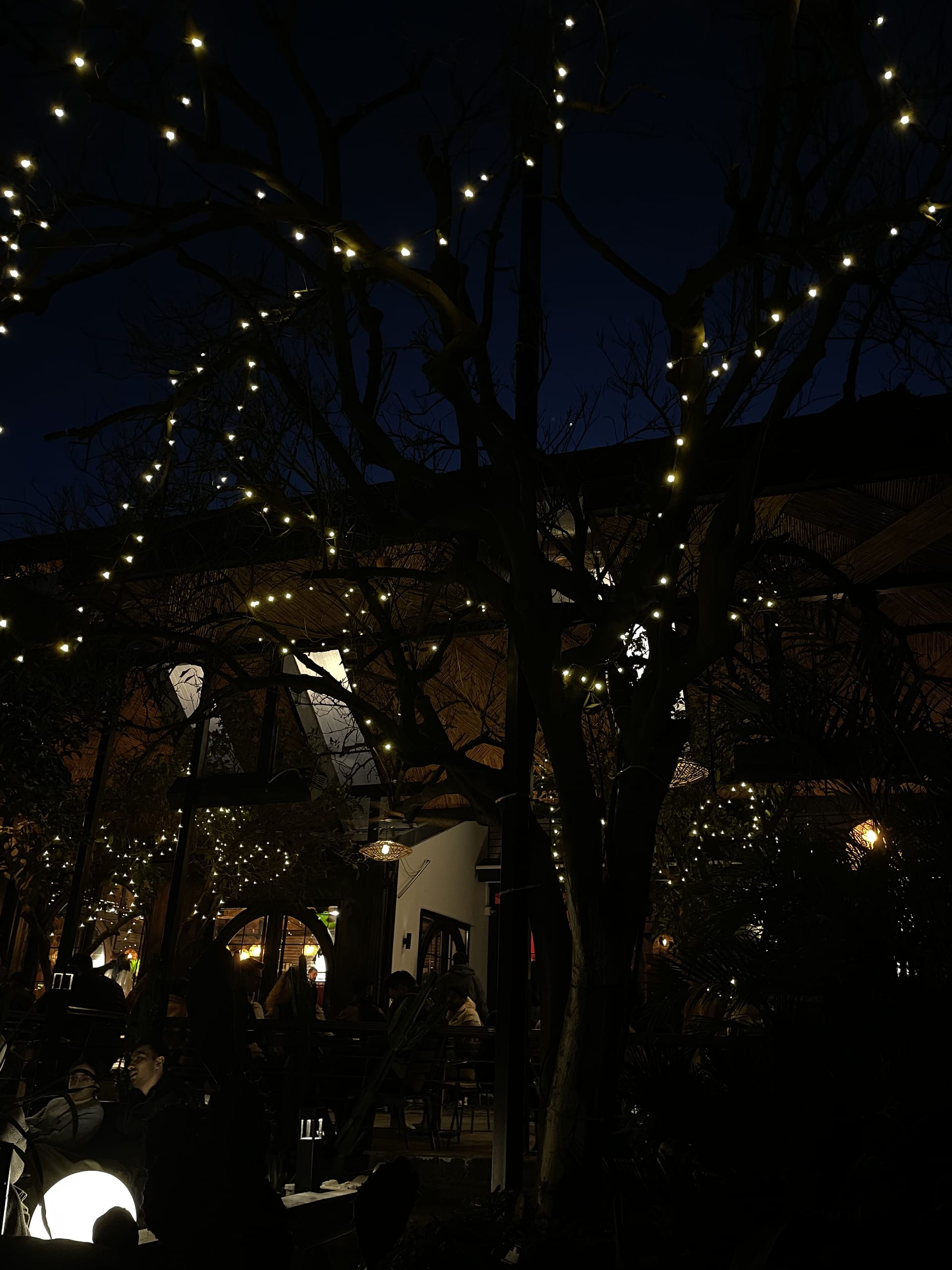 Small white lights wrap around tree branches above the café’s dark outdoor seating area.