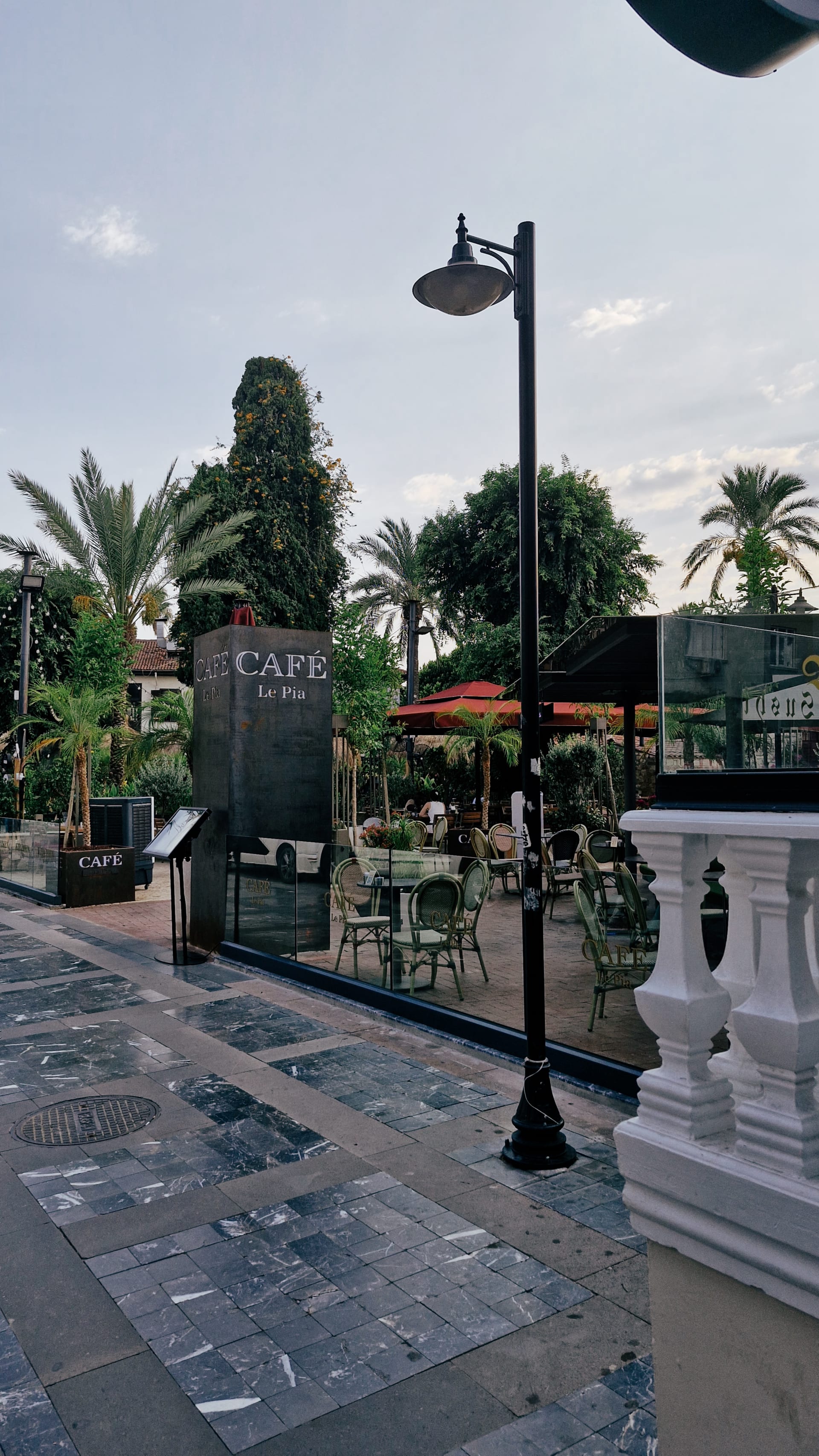 Café terrace behind a white railing with palm trees and a black streetlamp.