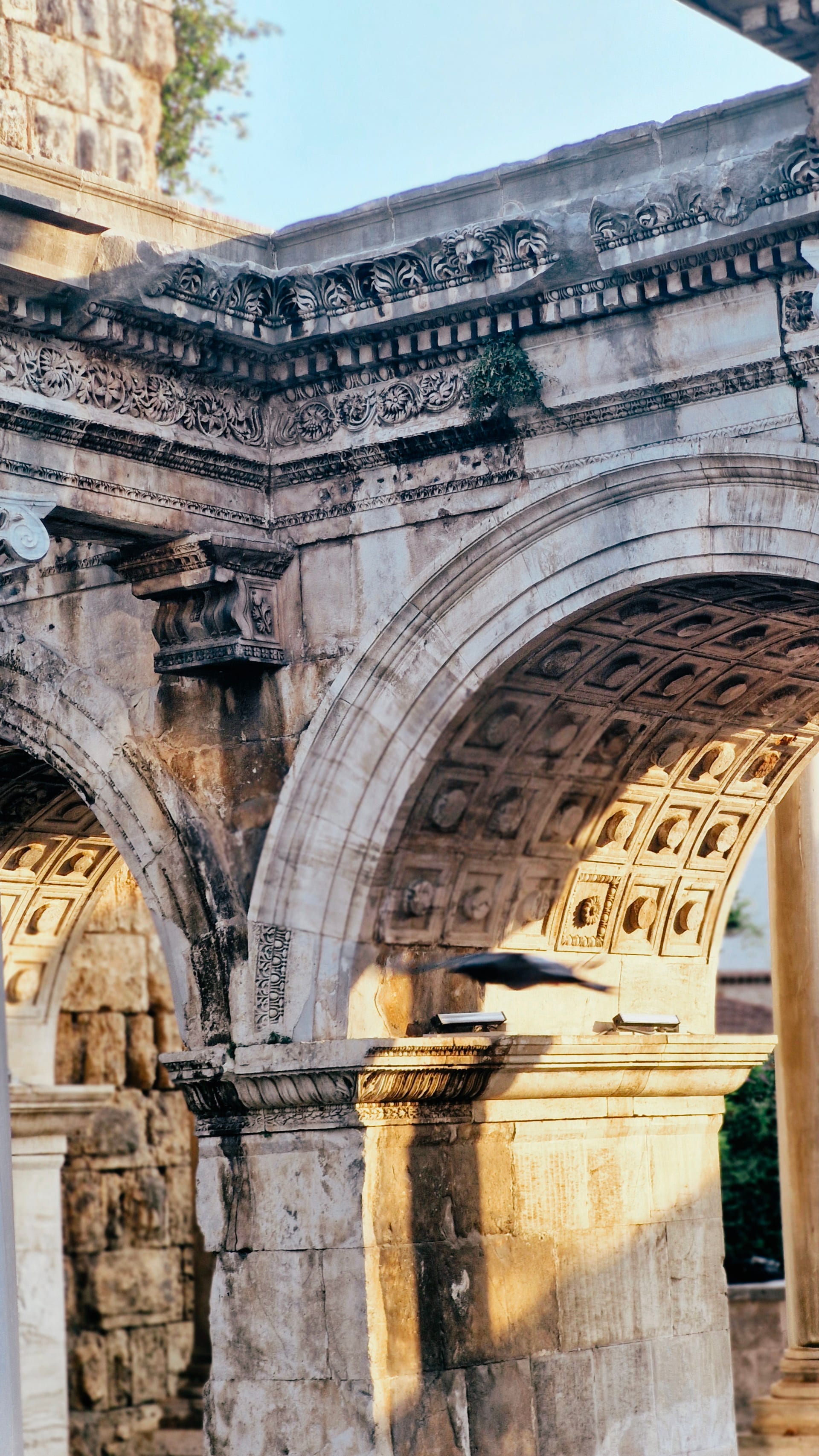 Close view of a stone arch with carved leaf bands, square coffers and small projecting ornaments.