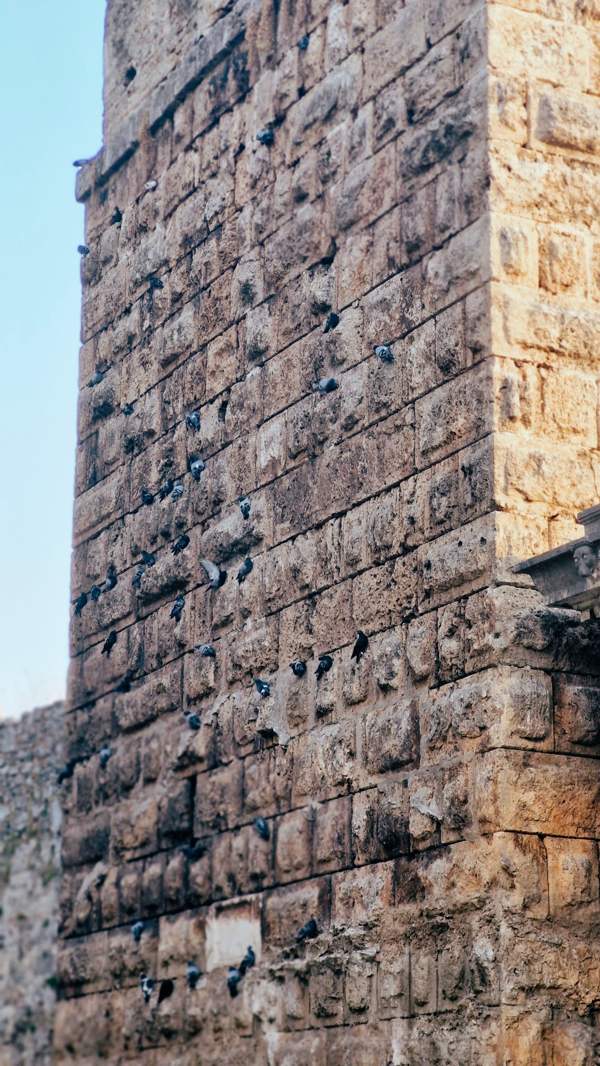 Tall block-built stone tower marked by small holes and weathered surfaces.
