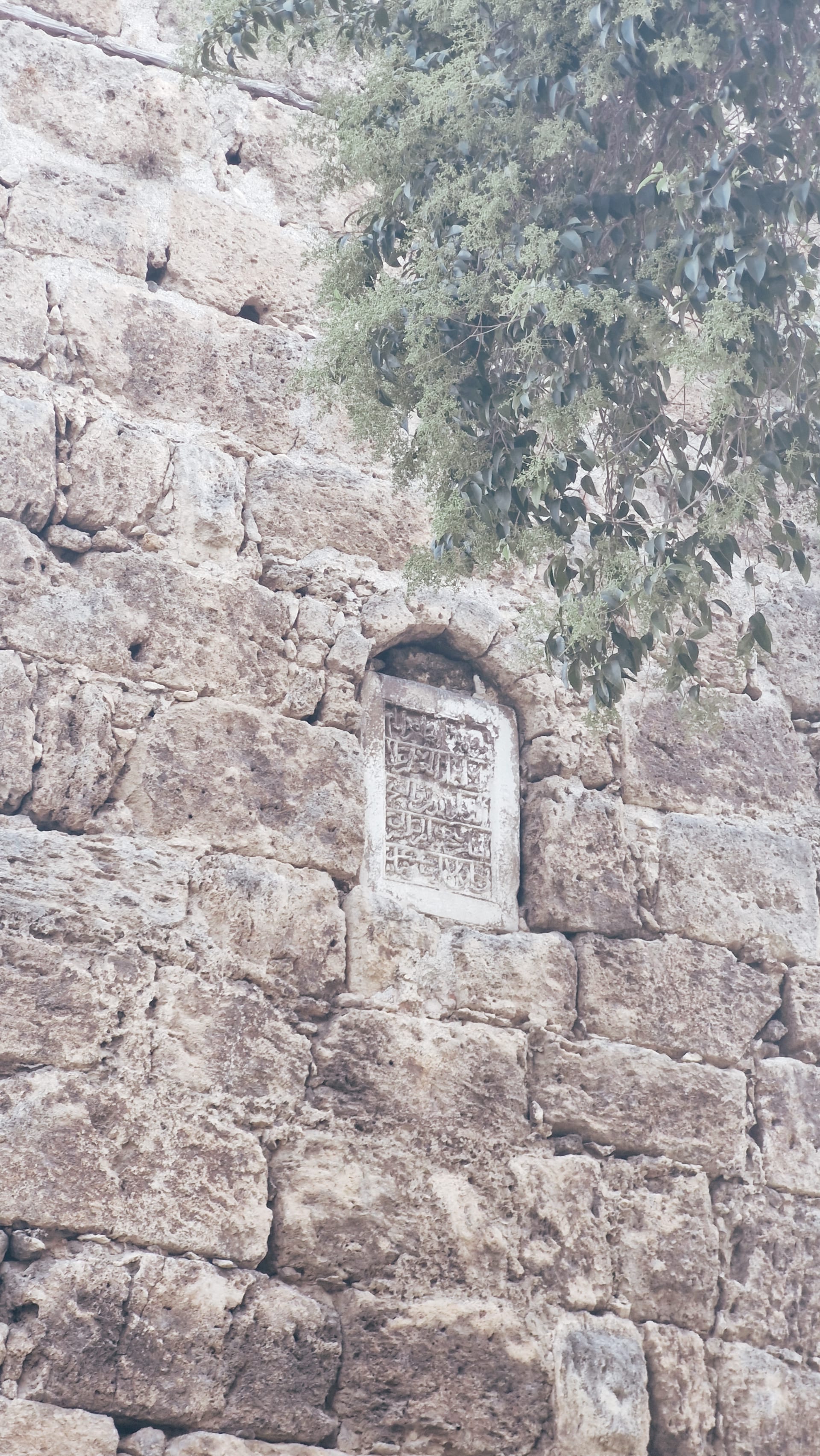 Rectangular Arabic-script stone inscription set into a rough wall beneath leafy branches.
