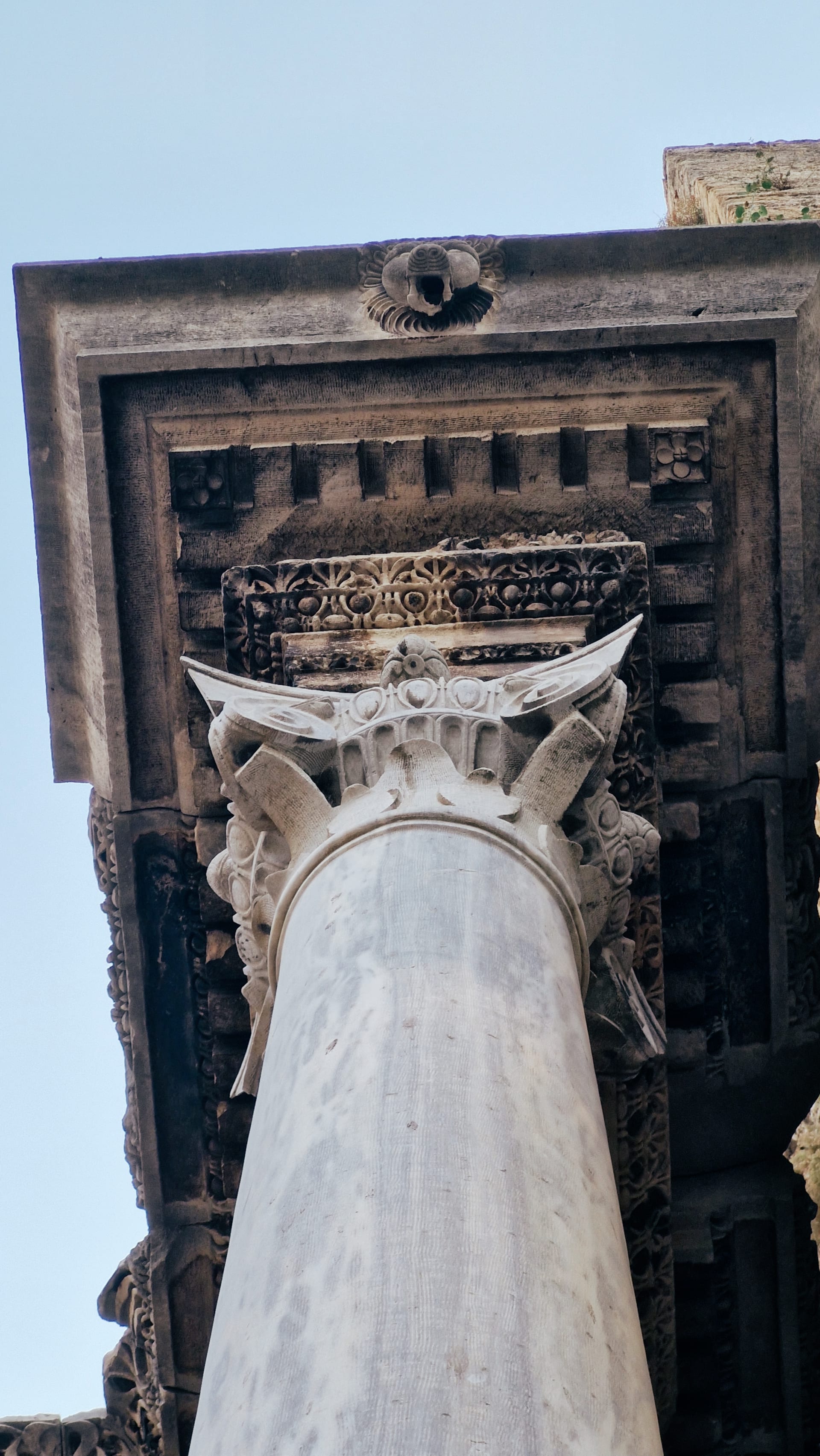 Upward view of a column capital, carved entablature and small lion-head ornament.