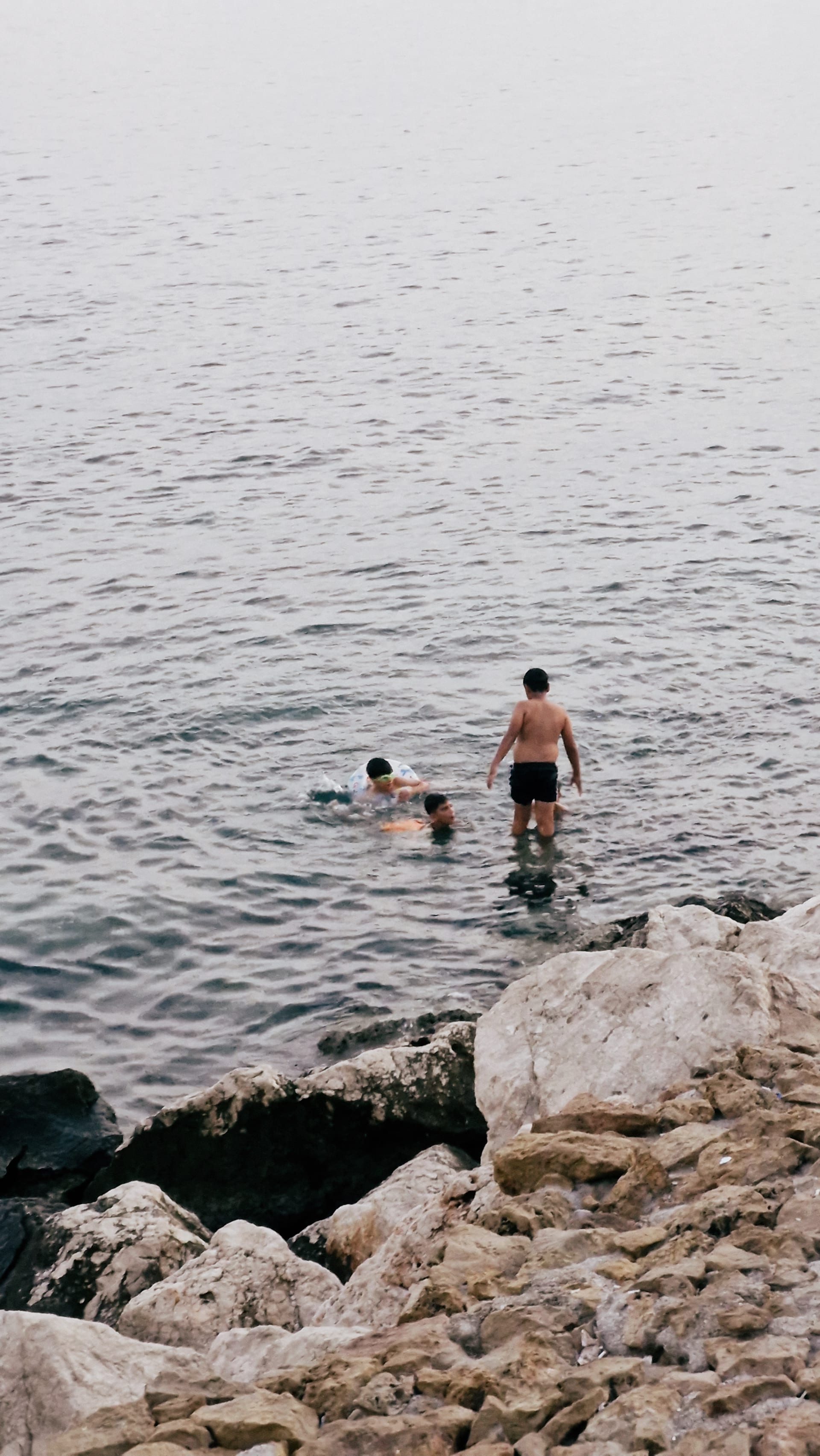 Three people swimming beside pale rocks in calm evening water.