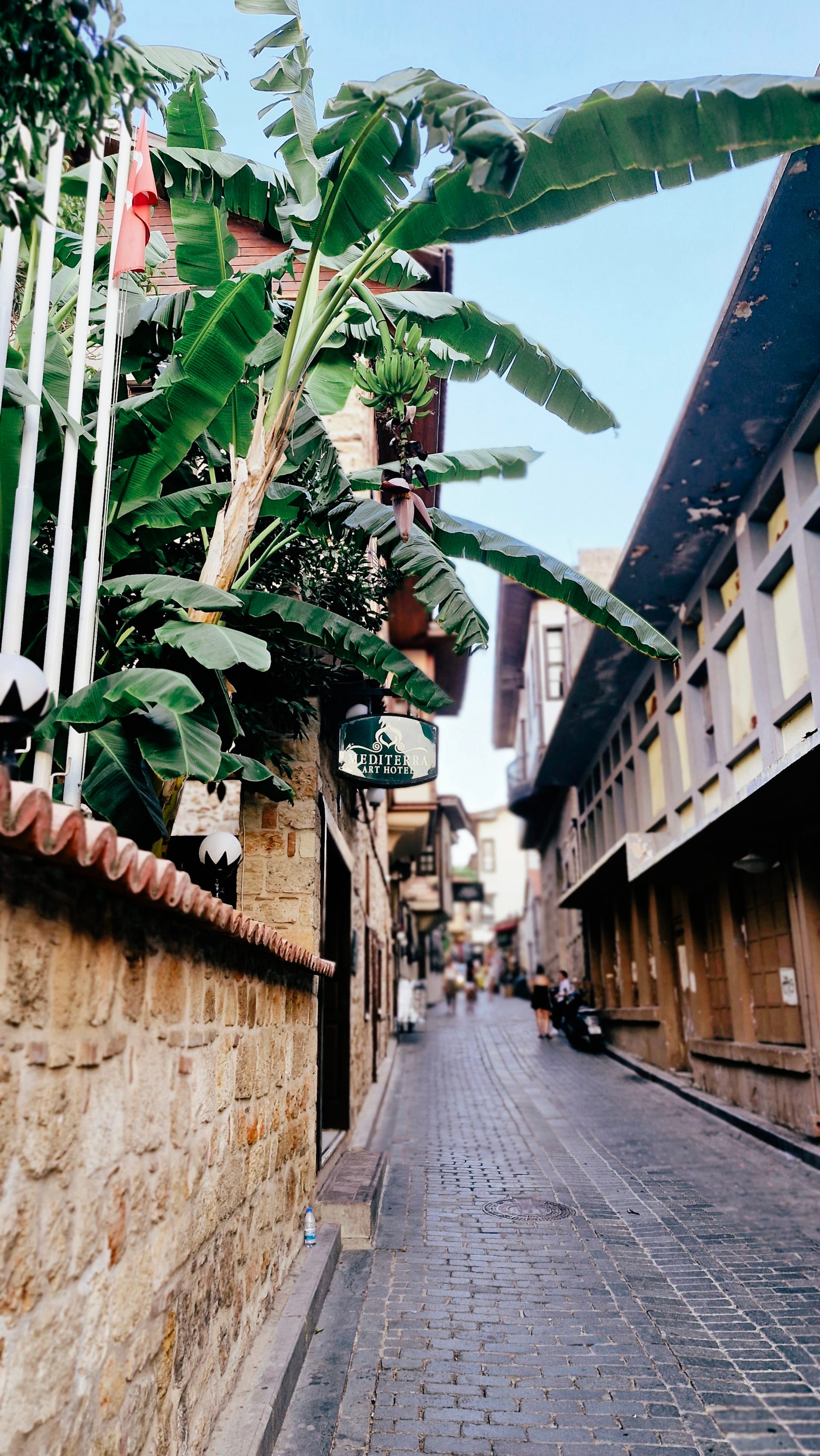 Stone-paved lane between old houses and a wall shaded by banana plants.