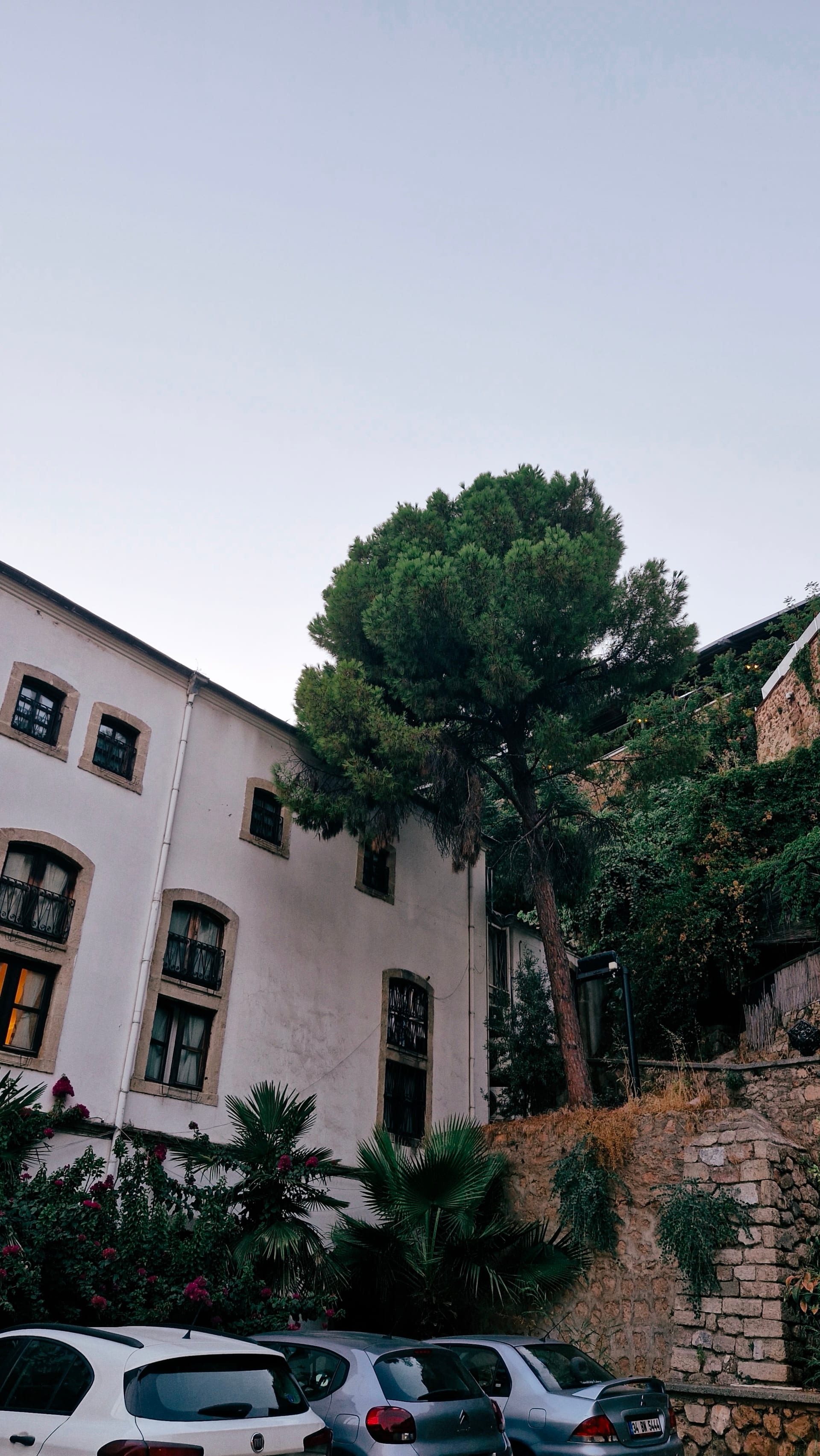 Tall trees shade a white building and an old stone wall.